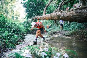 BIB: 
                            <button type="button" onclick="openModal(25432799)" class="btn btn-primary btn-sm float-right btn-popup" data-toggle="modal" data-target=".modal-high-quality">
                        <i class="fas fa-shopping-cart"></i> Add to Cart
                    </button>
                                            <button type="button" onclick="isThisMe(25432799, true)" class="btn btn-success btn-sm float-right btn-popup btn-isme hidden" data-toggle="tooltip" data-placement="bottom" title="นี่คือรูปของคุณใช่ไหม คลิกที่นี่เพื่อเอาเข้าอัลบั้ม">
                        <i class="fas fa-plus"></i> Add to album
                    </button>
                    <button type="button" onclick="isThisMe(25432799, false)" class="btn btn-warning btn-sm float-right btn-popup btn-isnotme hidden">
                        <i class="fas fa-ban"></i> Remove from album
                    </button>